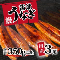 【訳あり】国産うなぎ 蒲焼き 3尾 セット ( 350g以上 )  大きさ 不揃い 山椒付き