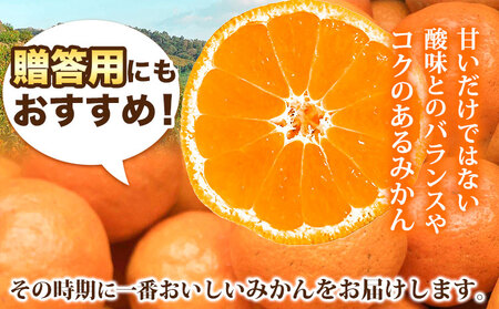 贈答用にもおすすめ 温州みかん 5kg (S～Lサイズ混合) 和田果樹園《11月上旬-2月上旬頃出荷》 和歌山県 紀の川市 みかん ミカン 果物 フルーツ 温州みかん 贈答用 送料無料
