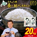 【ふるさと納税】うりゅう米 食べ比べ 満足セット 新米 「 ゆめぴりか 10kg （ 5kg × 2袋 ）・ ななつぼし 10kg （ 5kg × 2袋 ）」 ブランド 米 ごはん おにぎり お弁当 ふっくら 粘り 冷めてもおいしい お取り寄せ 北海道 雨竜町 送料無料