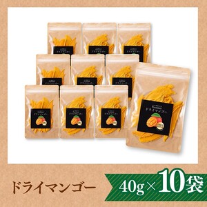 宮崎県産完熟マンゴー（果実の宝石）ドライマンゴー10袋 果物 マンゴー