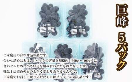 先行予約 巨峰 5パック 約1.5kg ご家庭用 ぶどう ブドウ フルーツ 果物 くだもの 【2026年7月上旬～8月下旬まで発送】