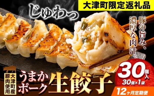 餃子 うまかポーク生餃子 30個 【12ヶ月定期便】タレ付き 大津町限定返礼品 冷凍餃子 ギョウザ《お申込み月の翌月から発送開始》大津町産豚肉使用 九州産キャベツ使用（大津町産含む）皮モチモチ 肉汁溢れる ぎょうざ （30個×1袋）