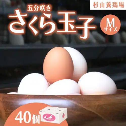 純国産鶏さくらちゃんが産んだ桜色のさくら玉子 五分咲き（Mサイズ）40個 | 卵 たまご 濃厚 10000円 1万円以内