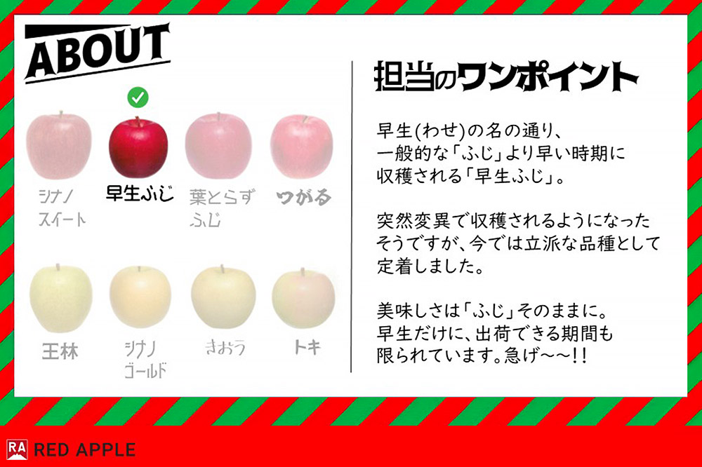 りんご【訳あり】家庭用 早生ふじ＆トキ 約5kg