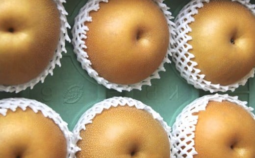 新高梨 5kg