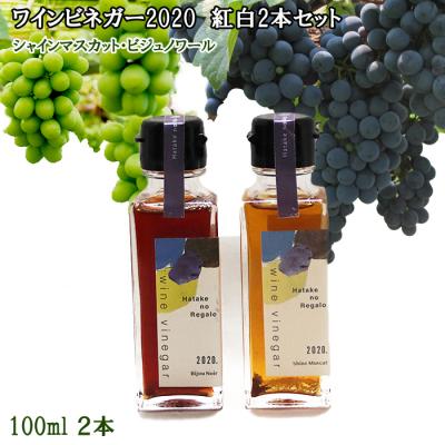 ふるさと納税 出雲市 ワインビネガー 2020年 紅白100ml2本セット