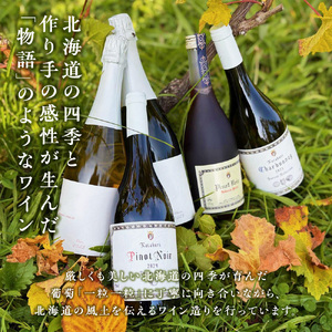 sumiawa ブラン ヴィンテージ スパークリングワイン2023 ラ・メゾン・ド・ラ・リヴィエー 辛口 スパークリング白 日本ワイン お酒 酒 洋酒 果実酒 アルコール 北海道 仁木町 [ 株式会社
