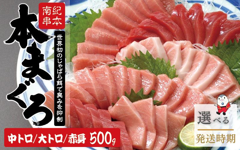 
            まぐろ 本マグロ 大トロ 中トロ 赤身セット 500g (養殖) 濃厚な赤身と高級部位トロのまぐろ食べつくしセット【2月発送から6月発送もあり】/ マグロ 鮪 赤身 刺身 さしみ 魚 魚介 まぐろ丼 まぐろ漬け丼 海鮮丼 冷凍 真空 和歌山県 串本町 【nks110A-cho】
          