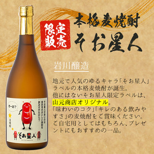 鹿児島曽於市の本格焼酎を飲み比べ そお星人の芋焼酎と麦焼酎セット 岩川醸造(720ml×4本) 芋焼酎 麦焼酎 飲み比べ【川畑酒店】A-58