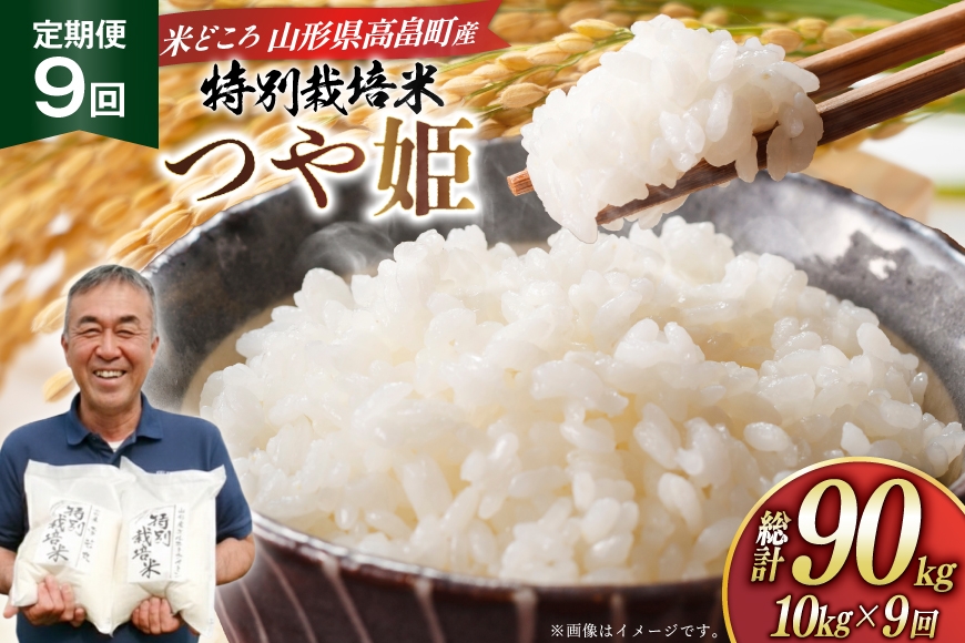 
                  米 定期便 9回 令和8年産 特別栽培米 つや姫  10kg 9回 計90kg [渡部ファーム 山形県 高畠町 tk06ays810055] お米 白米 精米 ごはん ご飯 ブランド米
                