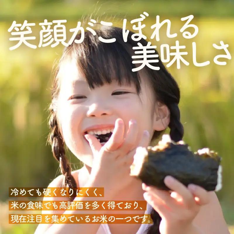 【先行予約】【令和8年産】定期便《6ヶ月連続お届け》精米 にこまる 5kg（計30kg）＜低農薬栽培＞ ／ 高品質 鮮度抜群 福井県 あわら市産 ブランド米 白米 お米 米 ※2026年10月中旬より