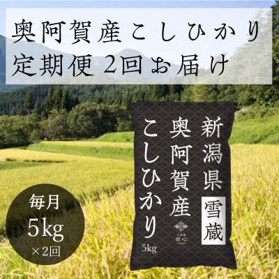 【発送月固定定期便】新潟県奥阿賀産こしひかり 精米5kg全2回【4054055】