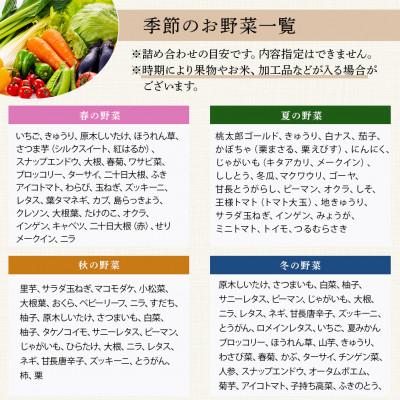 ふるさと納税 多良木町 【毎月定期便】野菜ソムリエ監修 旬のおすすめ野菜セット 4〜6品(1〜2名様向け)全6回 |  | 03