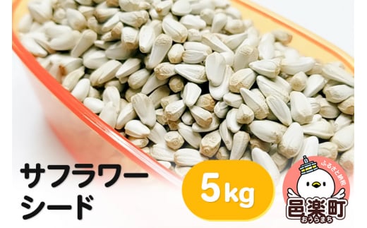 サフラワーシード 5kg×1袋 サイトウ・コーポレーション 飼料