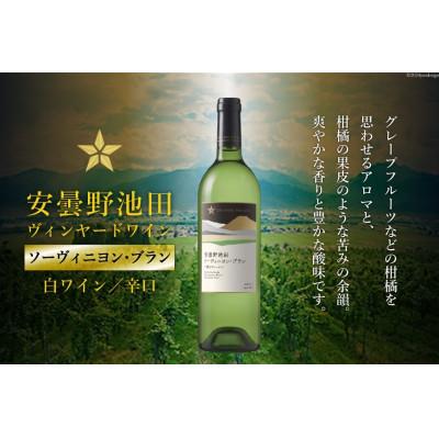 ふるさと納税 池田町 サッポログランポレール 安曇野池田ヴィンヤードワイン「ソーヴィニヨン・ブラン」750ml