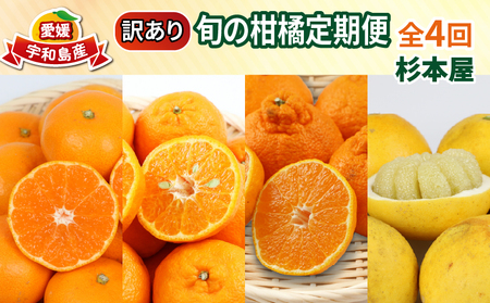 訳あり 旬 の 柑橘定期便 全4回 杉本屋 わけあり みかん定期便 完熟みかん 柑橘 みかん ポンカン 不知火 完熟 温州みかん 土佐文旦 文旦 ていきびん mikan 愛媛みかん愛媛ミカン 愛媛蜜柑 早生温州 温州 甘い 果物 フルーツ 柑橘 蜜柑 産地直送 数量限定 国産 愛媛 宇和島 B040-143024