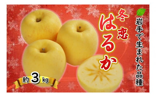 
【光センサー選果・品質保証】晩成りんご「はるか」玉数おまかせ３kg(７玉〜１０玉)
