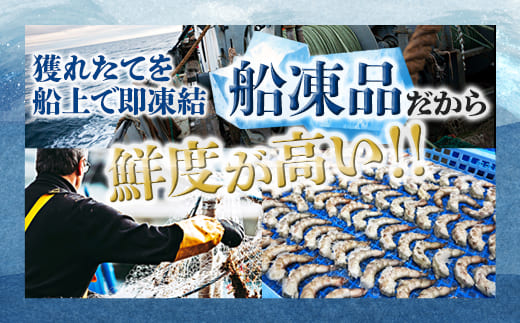 背ワタ処理済み 天然 無添加 大粒ムキエビ 1kg 約80尾 冷凍 海老 エビ えび むき海老 むきエビ むき身 海鮮 魚介 背ワタなし 下処理済み 下ごしらえ不要 簡単 簡単調理 時短 便利 特大 