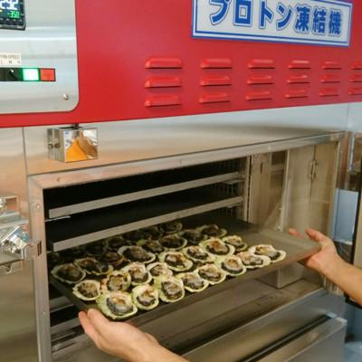 ふるさと納税 糸満市 ヒメシャコ貝(約500g) |  | 02