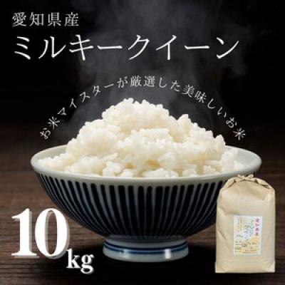 ふるさと納税 美浜町 愛知県産 ミルキークイーン 10kg 愛知県 美浜町