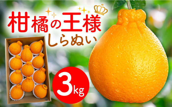 
            【先行予約】ハウス 完熟 しらぬい（デコポン）約3キロセット＜3月中旬以降発送＞ 長崎県/野中果樹園 [42AAAP004] みかん ミカン 柑橘 完熟 デコポン 果物 くだもの フルーツ 3kg 長崎
          