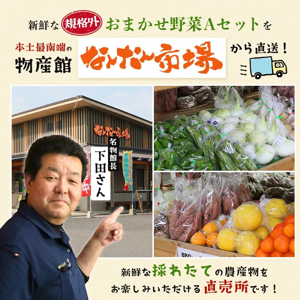 【定期便全3回】【規格外】本土最南端から 旬のおまかせ野菜セットA 10品目以上 NI-4 ｜ 旬 野菜 やさい 果物 くだもの 産地直送 農産物 冷蔵 鹿児島県 南大隅町産 詰合せ おまかせ 家庭用