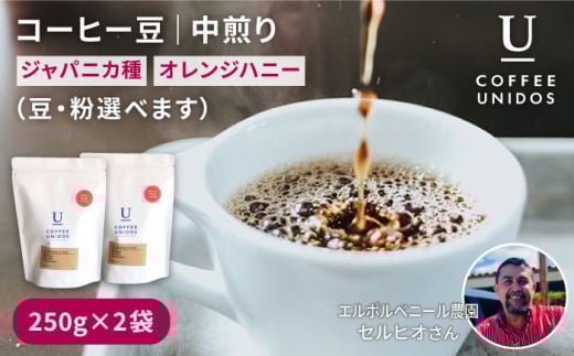 【中挽き】中煎り コーヒー 豆 250g × 2袋 （ 豆 ・ 粉 選べます ） ニカラグア産 エルポルベニール農園 ジャバニカ種 オレンジハニー 《糸島》 【COFFEE UNIDOS】 [AQF005-3]