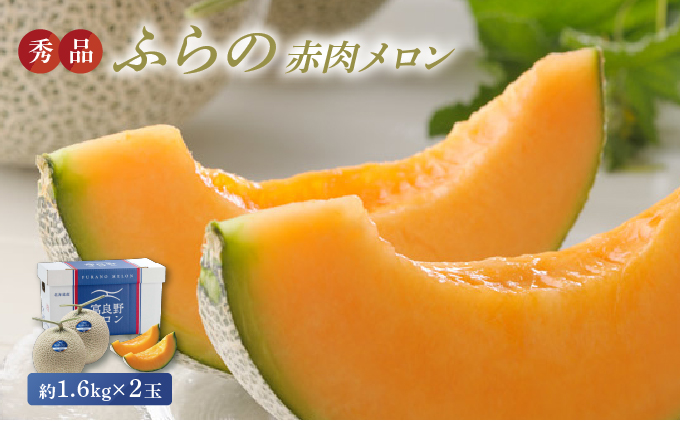 【2025年8月上旬より発送】ふらの 赤肉 メロン 約1.6kg×2玉 北海道 富良野市 (JAふらの) メロン フルーツ 果物 新鮮 甘い 贈り物 ギフト 道産 ジューシー おやつ ふらの ブランド 夏 