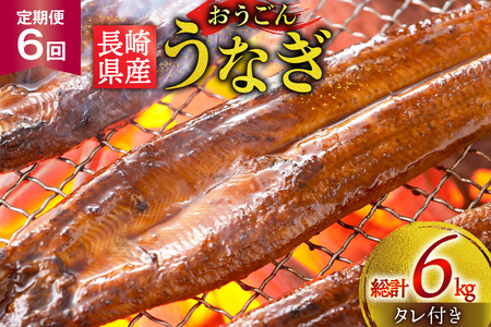 うなぎ 国産 蒲焼 長崎県産 おうごんうなぎ 松 セット 約1kg 6尾～8尾 6回 定期便 総計 約6kg [松永水産 長崎県 平戸市 hr42bgy400020]