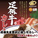 【ふるさと納税】足柄牛を贅沢に使ったカレー200g×4個セット【配送不可地域：離島】【1507100】