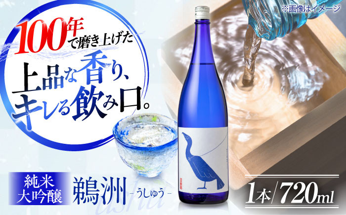 
            繊細さが生み出す渾身の一滴！養老酒造 純米大吟醸『鵜洲』720ml×1本 地酒 日本酒 お酒 晩酌 愛媛県大洲市/一般社団法人キタ・マネジメント（大洲まちの駅あさもや）[AGCP804]
          