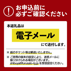 【フェムケアエステ】デリケートケアコース（たるみ・ゆるみケア）90分 【218003】