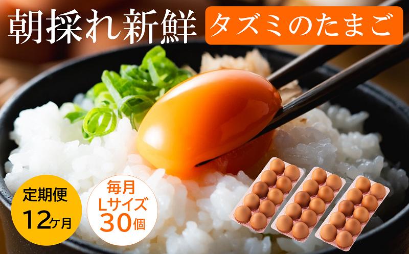 
            【レビューキャンペーン対象】【累計600万個突破！】★TVで紹介されました★【定期便】タズミの卵Ｌサイズ（30個×12ヶ月）097AB01N.／こだわり卵 市川町産 兵庫県産 たまご たまごかけご飯 玉子 生卵 鶏卵 タマゴ 卵焼き オムレツ 親子丼 すき焼き 目玉焼き 鶏 TKG 12か月 定期便
          