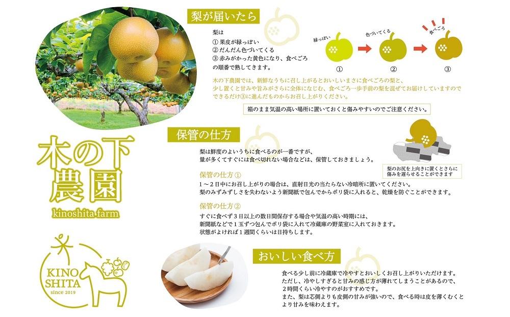 <梨の王様>庄内梨 新高 5kg(5~8玉)【2025年10月上旬頃より発送】