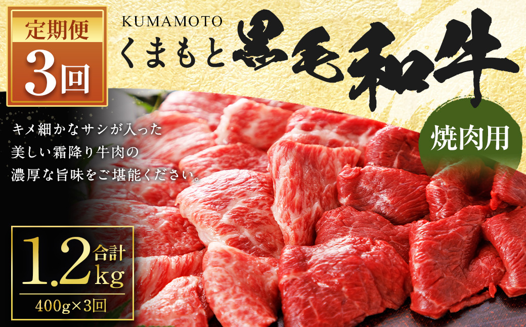 
【3回定期便】くまもと 黒毛和牛 焼肉用 約400g 合計約1.2kg 牛肉 和牛 霜降り
