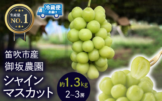 
                  ≪数量限定≫ 御坂農園 シャインマスカット 1.3㎏ 005-003
                