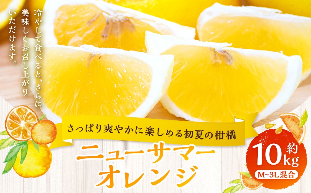 
                  【 さっぱり爽やかに楽しめる初夏の柑橘 】 ニューサマーオレンジ 約10kg オレンジ おれんじ 柑橘 柑橘系 柑橘類 みかん ミカン くだもの 果物 フルーツ 果実 果汁 果肉 国産 愛媛県産 【 2027年4月上旬～5月下旬発送予定 】 ( 1068 )
                