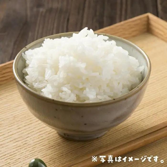  無洗米 星空舞 令和7年 鳥取県産 10kg （5kg×2） 米