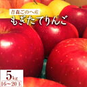 【ふるさと納税】【青森ごのへ産】 もぎたてりんご 5kg(16～20玉)【配送不可地域：離島・沖縄県・中国・四国・九州】【1033632】