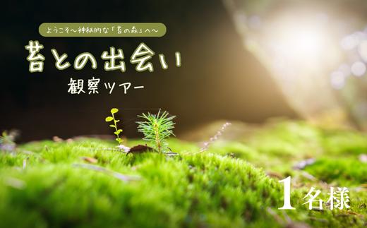 苔（コケ）との出会い　観察ツアー　１名［SE-101-01］