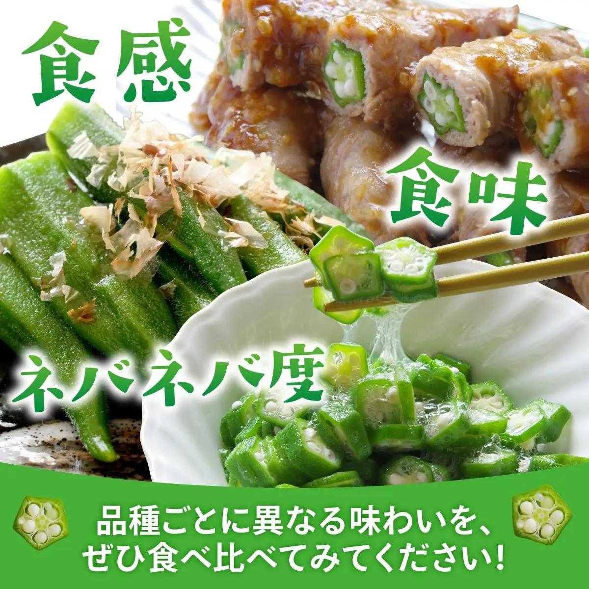 オクラ 食べ比べセット10本入り×10袋