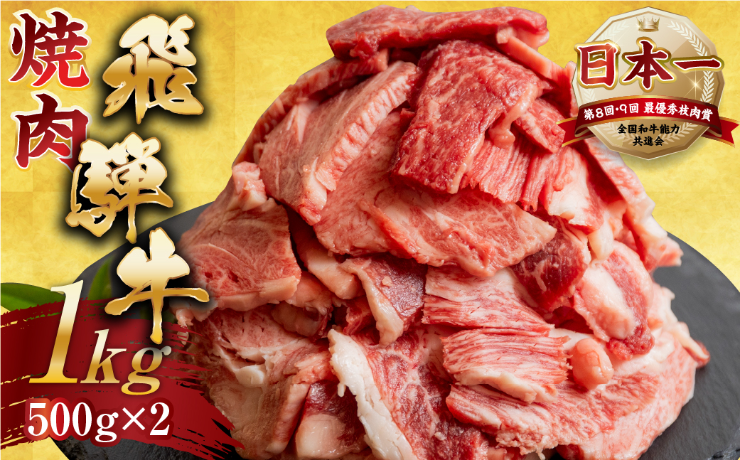 [A5等級] 飛騨牛【訳あり】飛騨牛 焼肉 切り落とし 500g × 2 計 1kg | 牛肉 肉 切落し 和牛 牛肉 肉 わけあり ワケアリ 不揃い 小分け 冷凍 焼き肉 お肉 やきにく 着日指定 