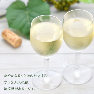 ふるさと納税 余市町 <葡萄作りの匠 田崎正伸>ミュラートゥルガウ 750ml_Y020-0391 |  | 01