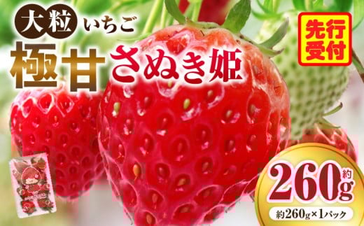 大粒いちご　極甘さぬき姫 約260g  | 果物 フルーツ いちご フレッシュ ジューシー 香り 爽やか 春 真っ赤 旬の果物 人気 おすすめ 贈答 贈り物 青果物 糖度 香川県 三木町 |_mk165-015