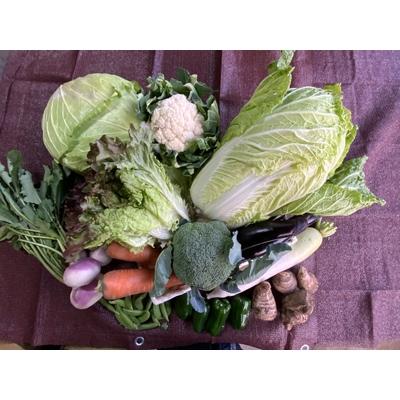ふるさと納税 吉野ヶ里町 よしのがり野菜セット(12品)
