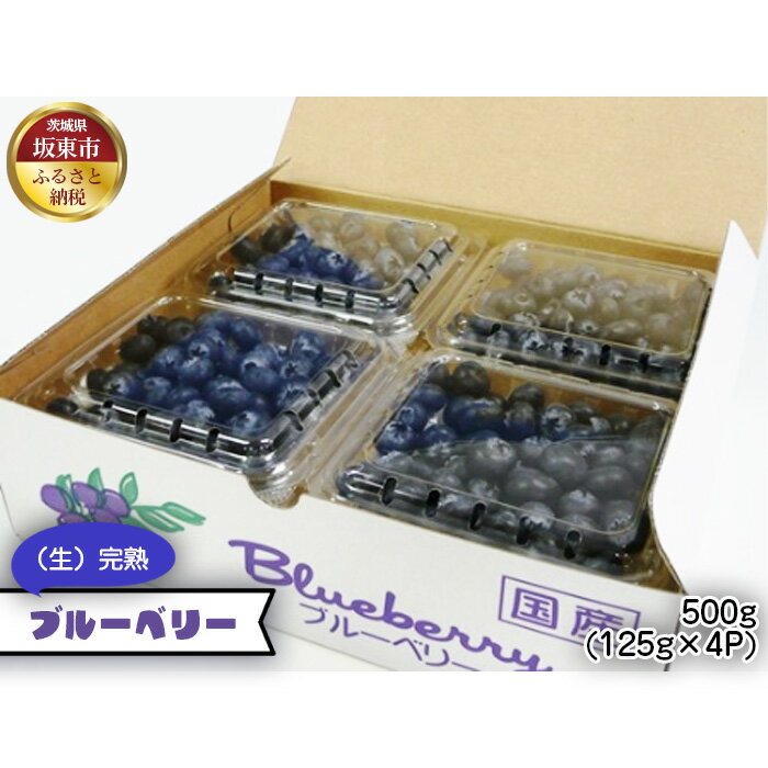 【ふるさと納税】茨城県産　坂東市（生）完熟ブルーベリー500g（125g×4P）／ブルーベリー 大粒 完熟 健康フルーツ 送料無料 茨城県 No.523