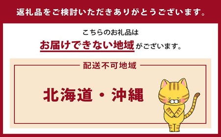 猫の爪とぎ　森のツリー