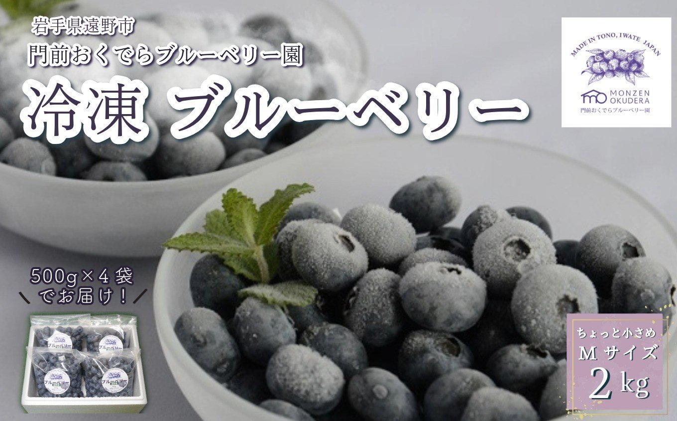
            冷凍 ブルーベリー ちょっと小さめ Mサイズ 2kg （500gパック4個入り） 門前おくでらブルーベリー園 岩手県 遠野市 産 お取り寄せ 産地直送 2025年産 冷凍ブルーベリー
          