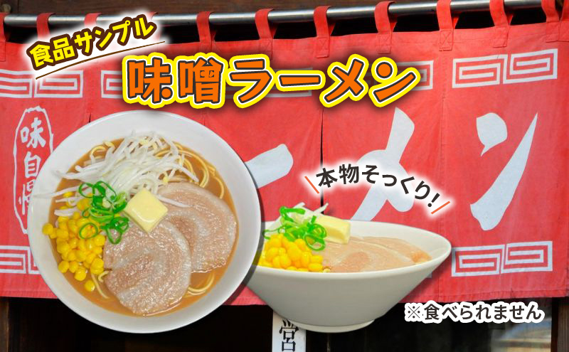 
[№5336-0193]食品サンプル　味噌ラーメン
