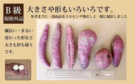 訳あり さつまいも 紅はるか 堀りたて5kg ( 1箱 ) 新物 鹿児島県産 2024年12月末までに出荷 【訳あり さつまいも 紅はるか 堀りたて 新物 鹿児島県産 5kg ( 1箱 ) 先行予約 